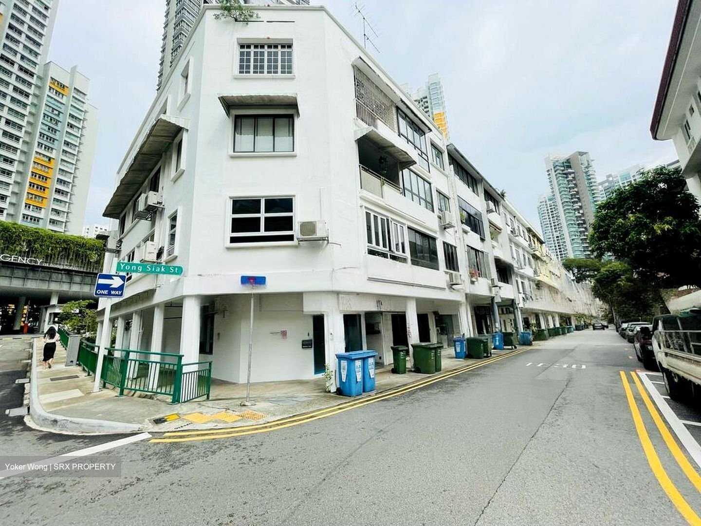 Tiong Bahru Estate (D3), Shop House #457049261